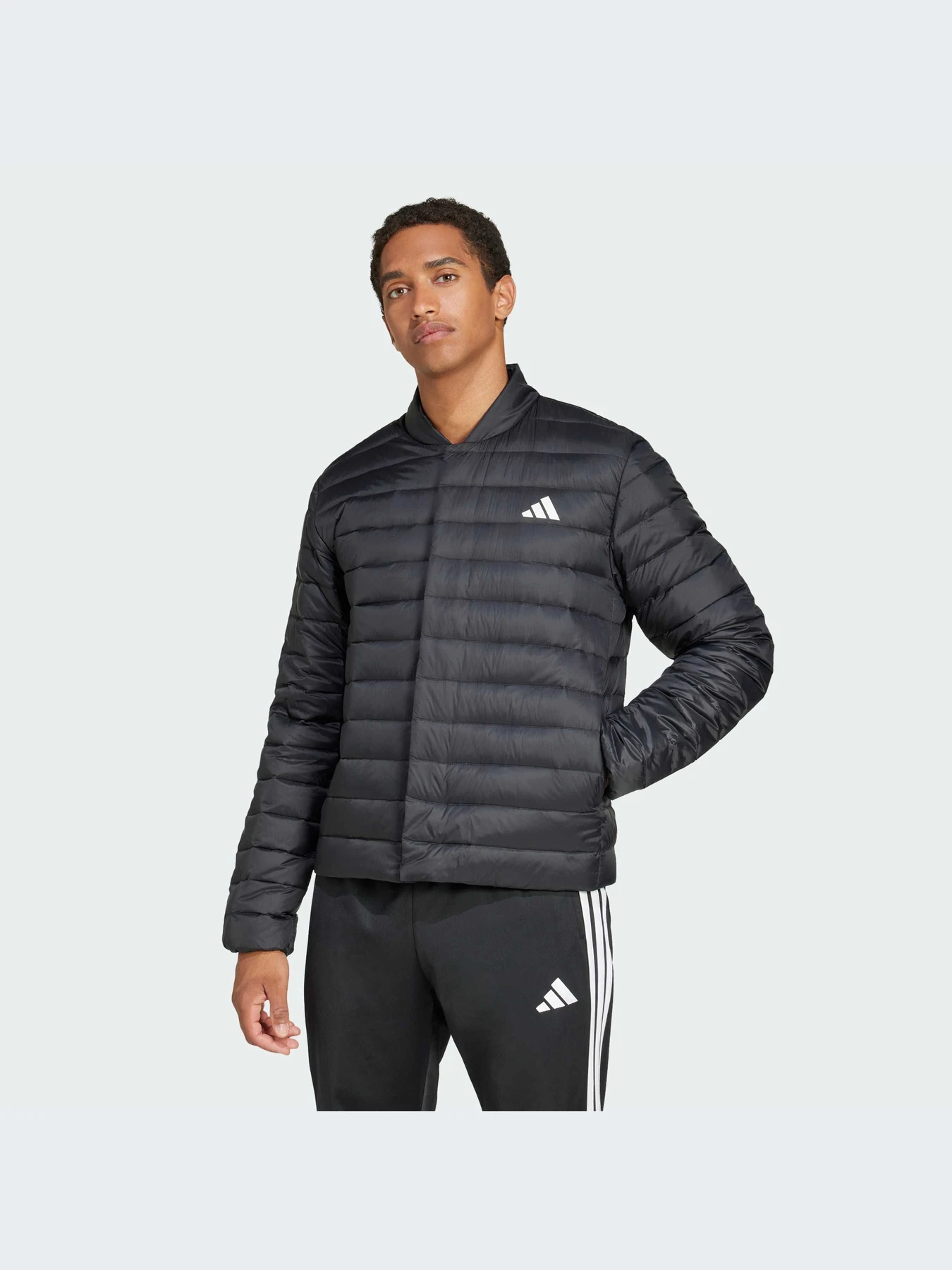 Куртки и дубленки Adidas модель JJ1198-KZ Куртки и дубленки Adidas модель JJ1198-KZ Фото