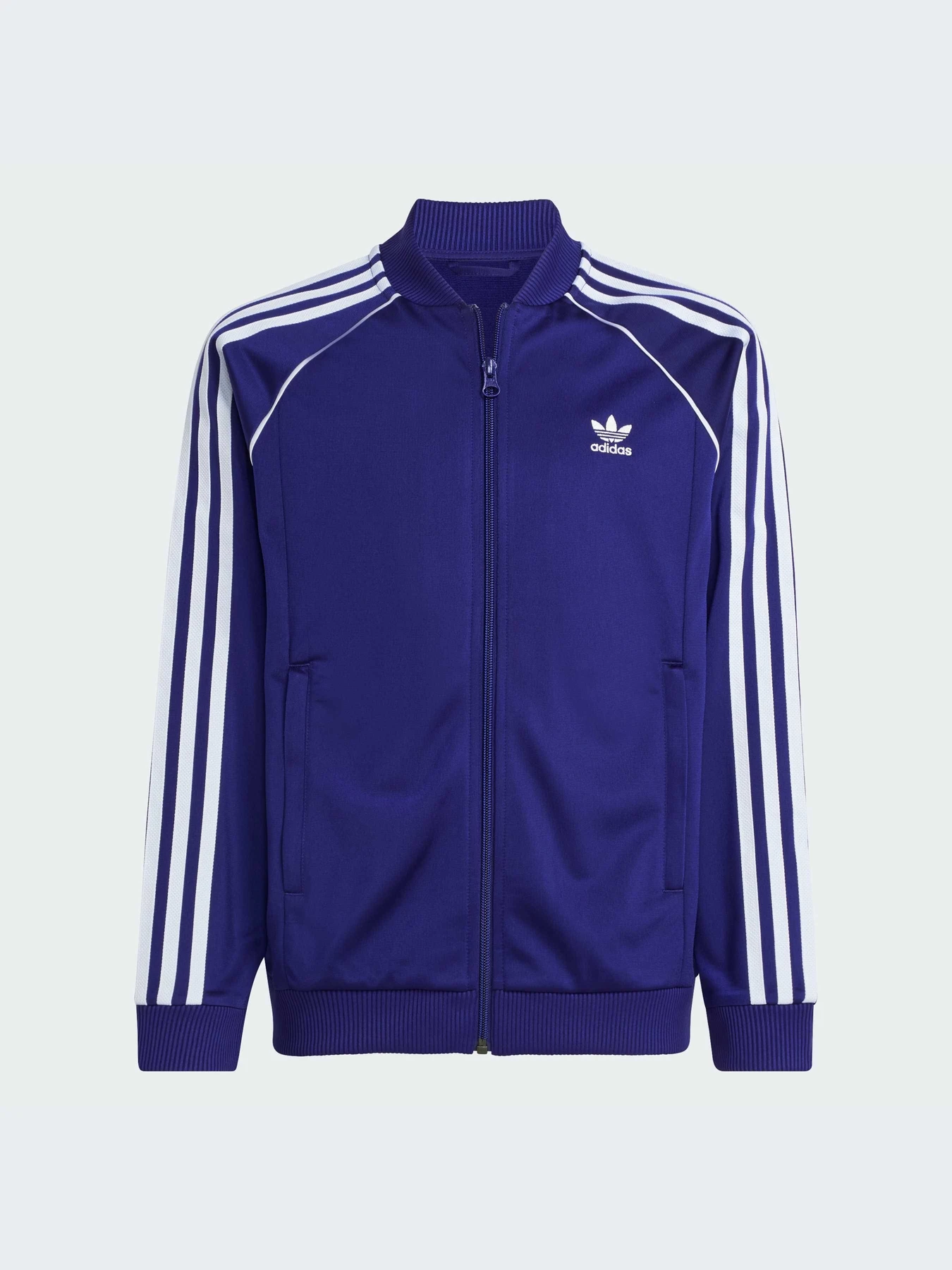 Худи и свитшоты Adidas Adicolor модель IY7453-KZ Худи и свитшоты Adidas Adicolor модель IY7453-KZ Фото