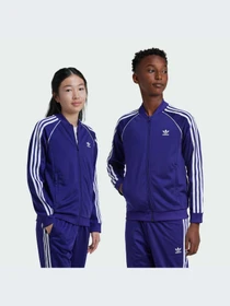 Худи и свитшоты Adidas Adicolor модель IY7453-KZ Фото