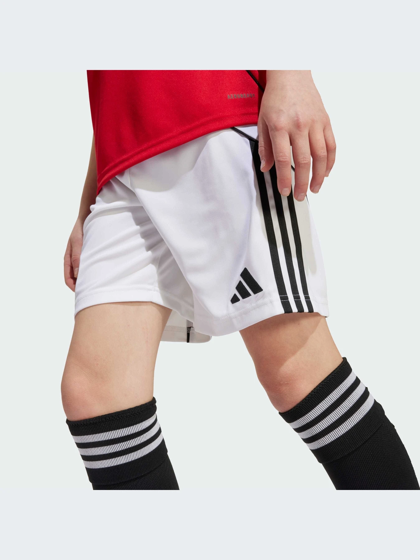 Шорты Adidas модель JP3017-KZ Шорты Adidas модель JP3017-KZ Фото