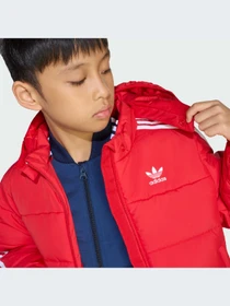 Куртки и дубленки Adidas Adicolor модель JV8550-KZ Фото