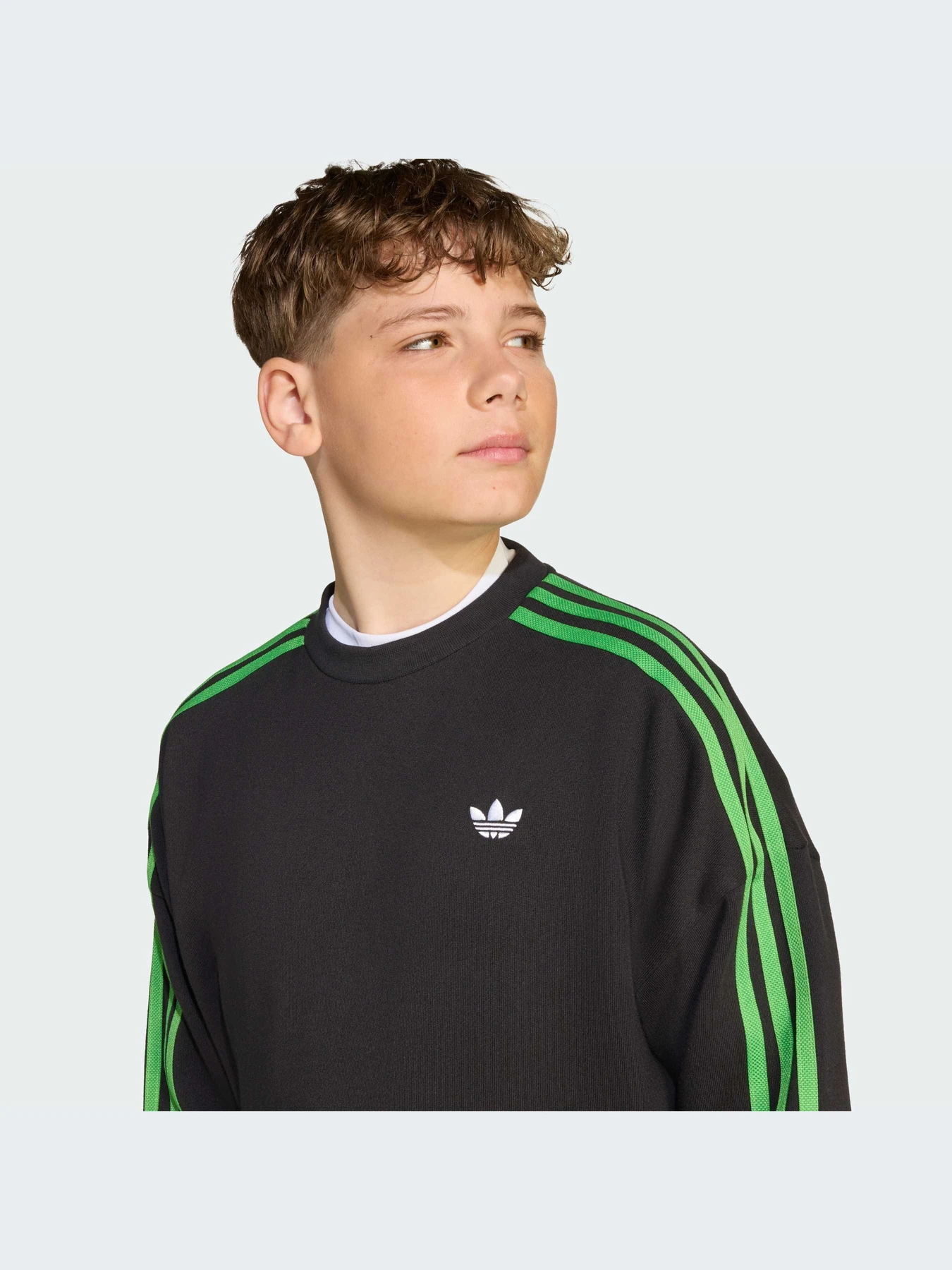 Худи и свитшоты Adidas Graphics модель JW7723-KZ Фото