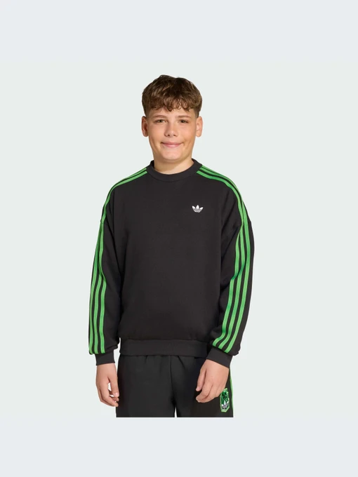 Худи и свитшоты Adidas Graphics модель JW7723-KZ Фото