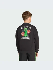 Худи и свитшоты Adidas Graphics модель JW7723-KZ Фото