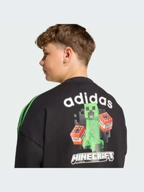 Худи и свитшоты Adidas Graphics модель JW7723-KZ Фото