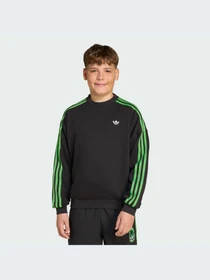 Худи и свитшоты Adidas Graphics модель JW7723-KZ Фото