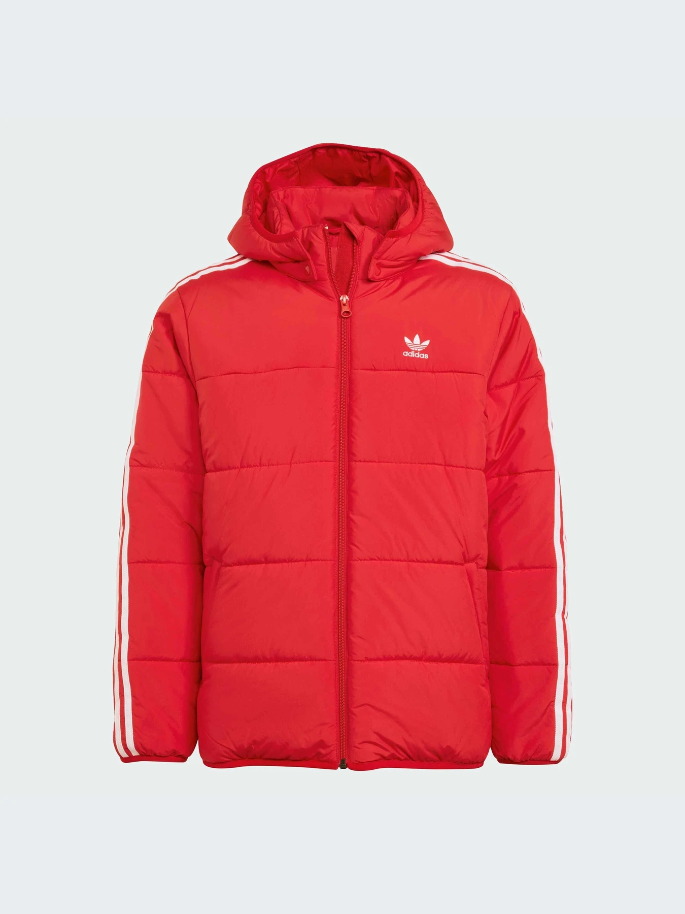 Куртки и дубленки Adidas Adicolor модель JW1108-KZ Куртки и дубленки Adidas Adicolor модель JW1108-KZ Фото