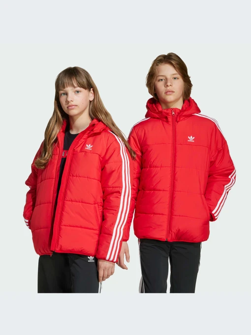 Куртки и дубленки Adidas Adicolor модель JW1108-KZ Фото