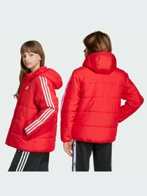 Куртки и дубленки Adidas Adicolor модель JW1108-KZ Фото