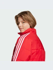 Куртки и дубленки Adidas Adicolor модель JW1108-KZ Фото