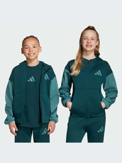 Худи и свитшоты Adidas ZNE модель JX9929-KZ Фото