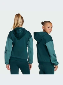 Худи и свитшоты Adidas ZNE модель JX9929-KZ Фото