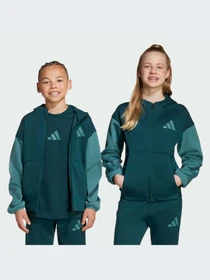 Худи и свитшоты Adidas ZNE модель JX9929-KZ Фото