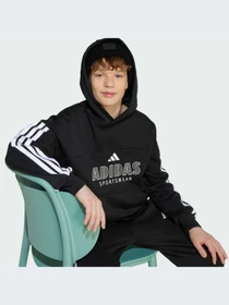 Худи и свитшоты Adidas Tiro модель JW5083-KZ Фото