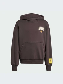Худи и свитшоты Adidas модель JL9181-KZ Фото