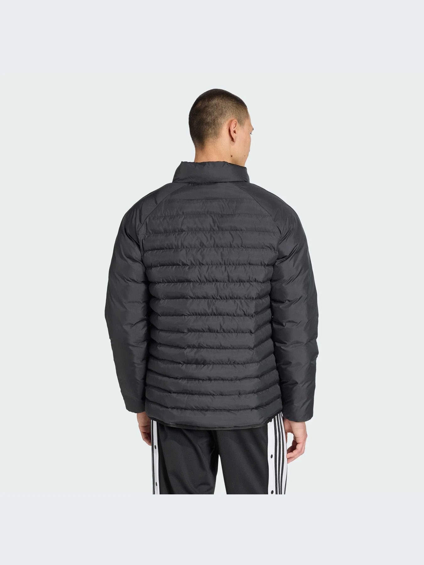 Куртки и дубленки Adidas модель JW5844-KZ Куртки и дубленки Adidas модель JW5844-KZ Фото