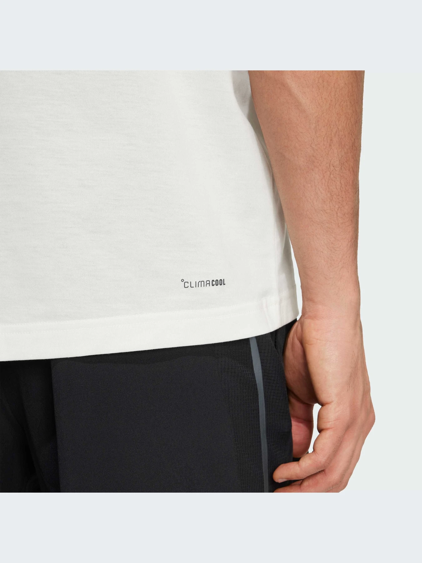 Футболки и поло Adidas модель JM8976-KZ Футболки и поло Adidas модель JM8976-KZ Фото
