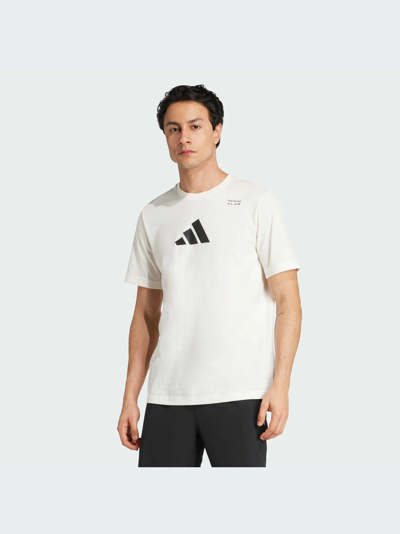 Футболки и поло Adidas модель JM8976-KZ Футболки и поло Adidas модель JM8976-KZ Фото