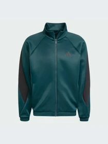 Худи и свитшоты Adidas модель JX5616-KZ Фото