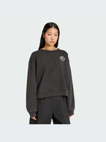 Худи и свитшоты Adidas модель JX1276-KZ Фото