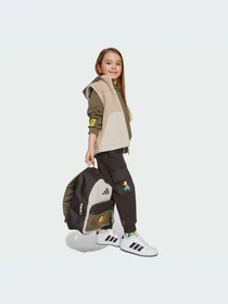 Повседневные штаны Adidas модель JL9199-KZ Фото