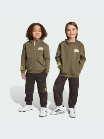 Повседневные штаны Adidas модель JL9199-KZ Фото