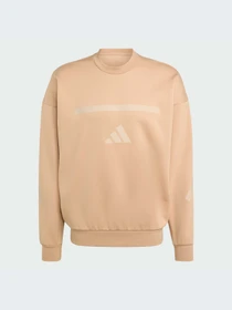Худи и свитшоты Adidas ZNE модель JW4750-KZ Фото