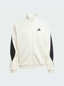 Худи и свитшоты Adidas модель JX5618-KZ Фото