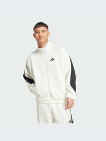 Худи и свитшоты Adidas модель JX5618-KZ Фото