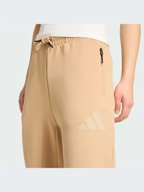 Брюки Adidas ZNE модель JW7739-KZ Фото