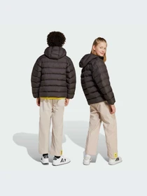Брюки Adidas модель JL9182-KZ Фото