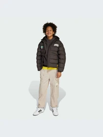 Брюки Adidas модель JL9182-KZ Фото