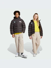 Брюки Adidas модель JL9182-KZ Фото