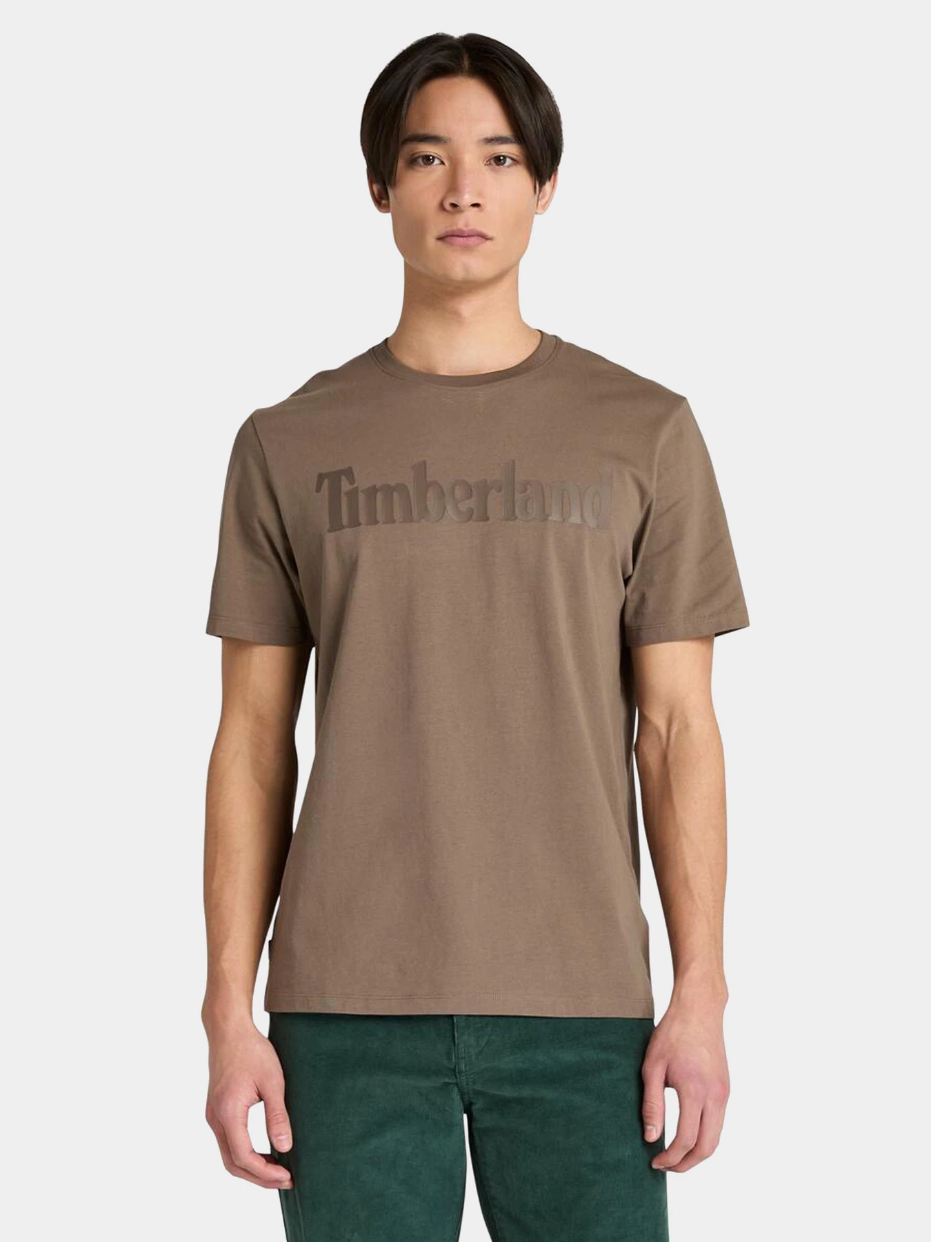 Футболки и поло Timberland модель TB0A2BRNBK0 Футболки и поло Timberland модель TB0A2BRNBK0 Фото