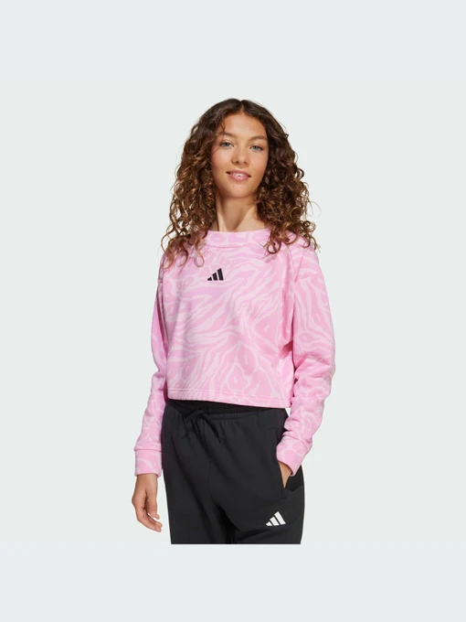 Худи и свитшоты Adidas Icons модель JW7541-KZ Фото