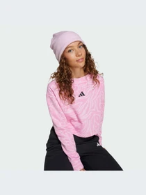 Худи и свитшоты Adidas Icons модель JW7541-KZ Фото