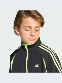 Кофта Adidas Adicolor модель JY6323-KZ Фото