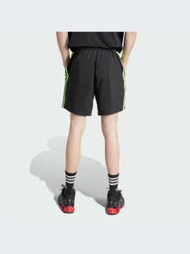 Шорты Adidas Adicolor модель JW1350-KZ Фото