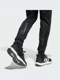 Спортивные штаны Adidas модель JV7316-KZ Фото