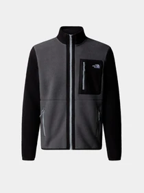 Худи и свитшоты The North Face модель NF0A883RWVO1 Фото