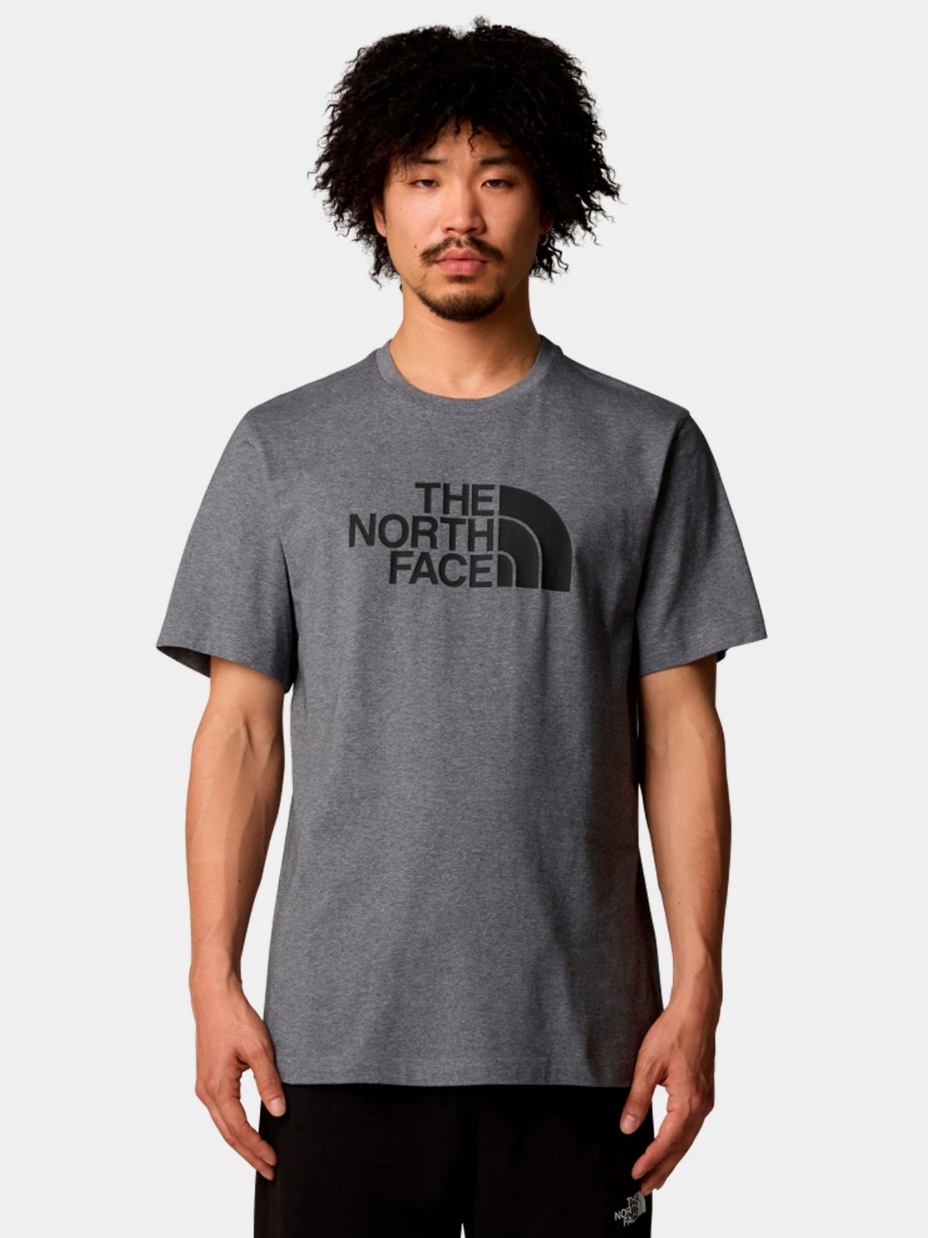 Футболки и поло The North Face модель NF0A8A6CDYY1 Футболки и поло The North Face модель NF0A8A6CDYY1 Фото