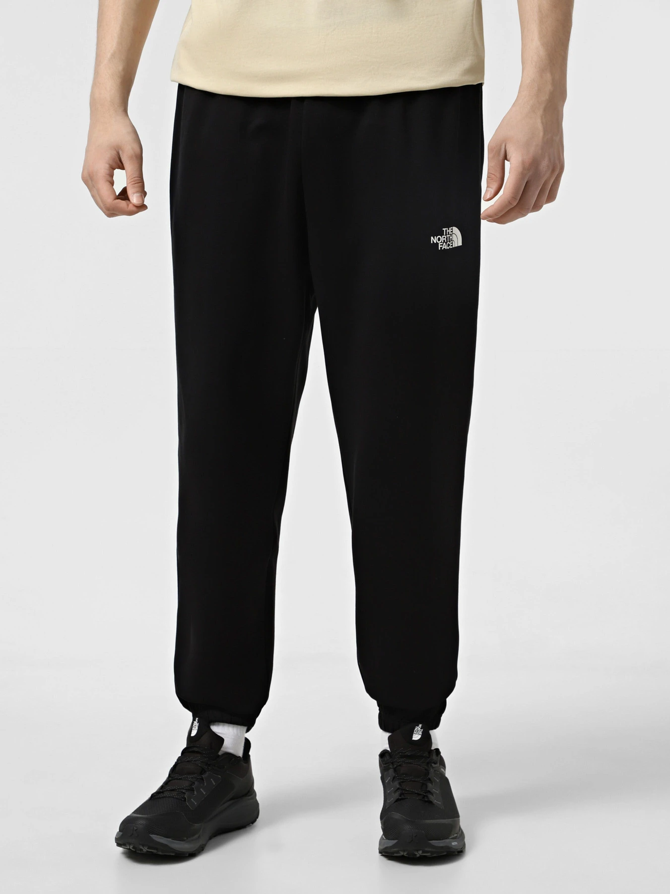 Брюки The North Face модель NF0A8C1WJK31 Фото