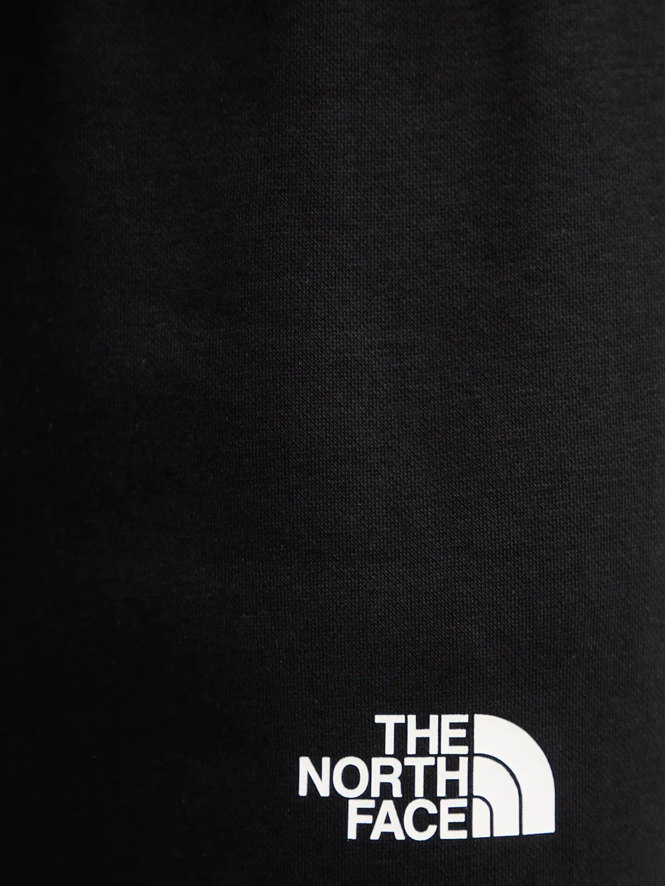 Брюки The North Face модель NF0A8C1YJK31 Брюки The North Face модель NF0A8C1YJK31 Фото