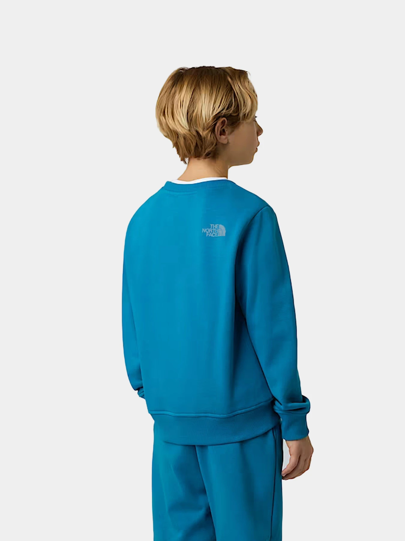 Худи и свитшоты The North Face модель NF0A8EATBOM1 Худи и свитшоты The North Face модель NF0A8EATBOM1 Фото