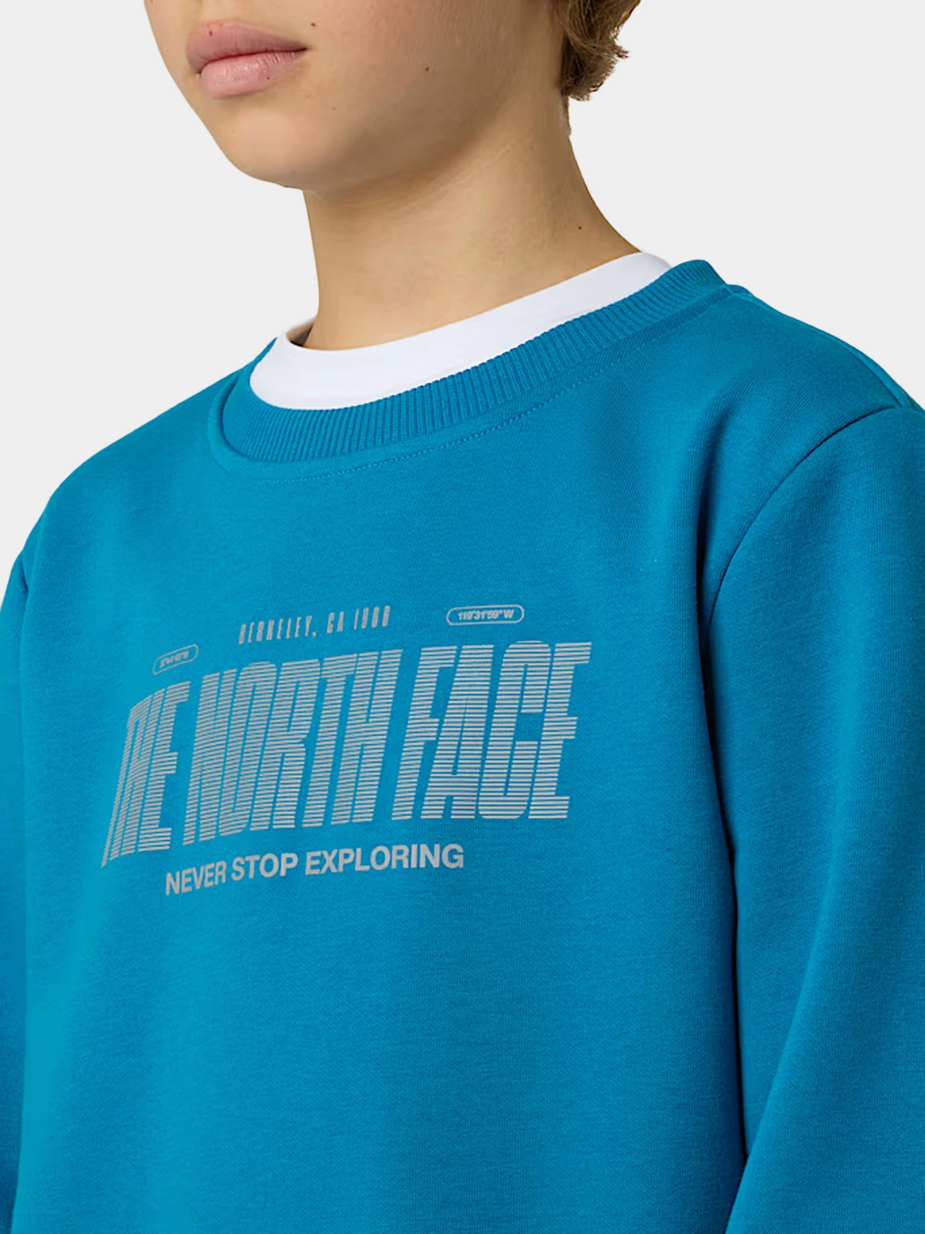 Худи и свитшоты The North Face модель NF0A8EATBOM1 Худи и свитшоты The North Face модель NF0A8EATBOM1 Фото