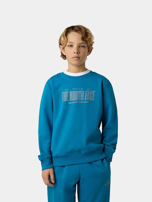Худи и свитшоты The North Face модель NF0A8EATBOM1 Фото