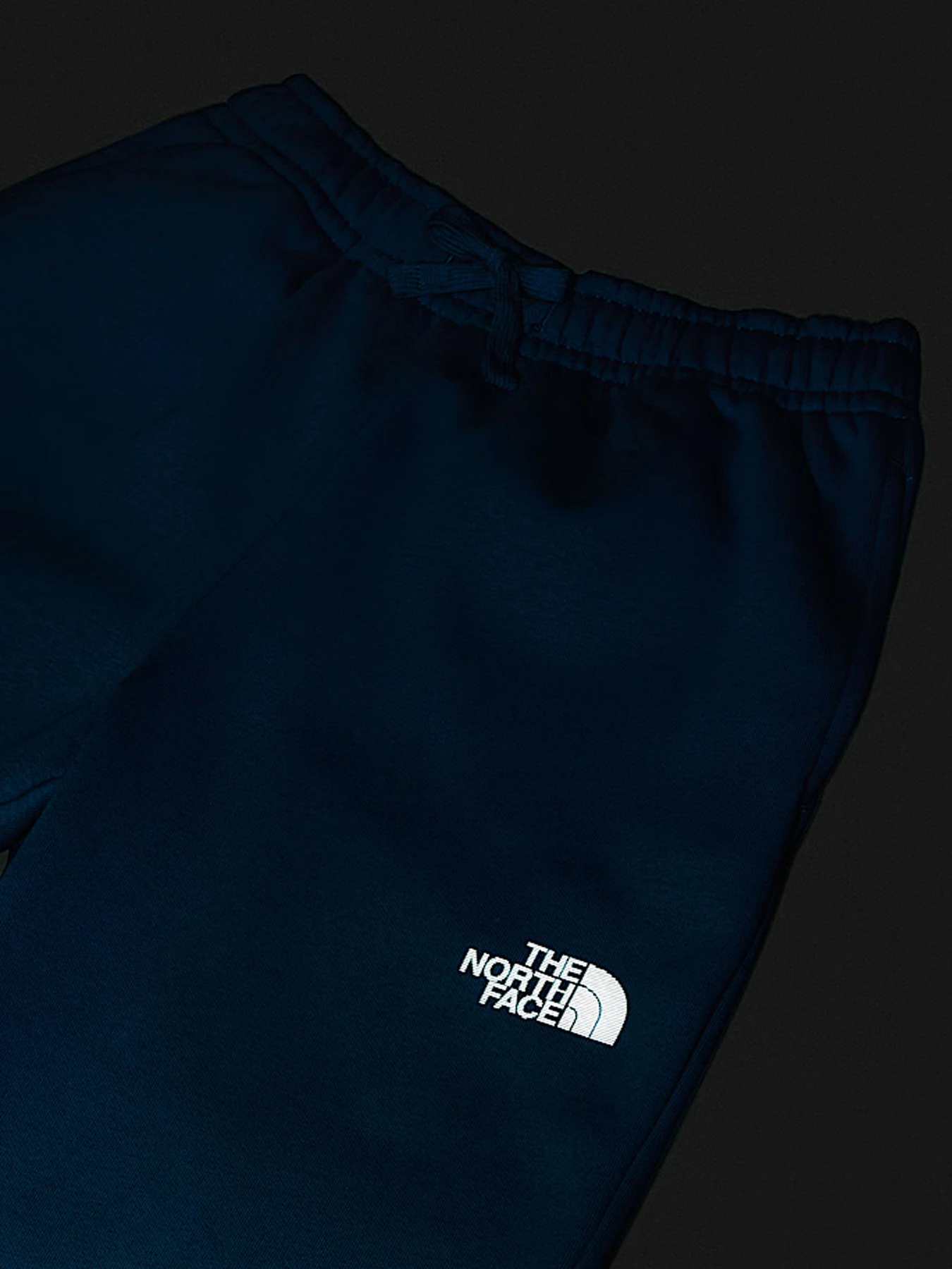 Брюки The North Face модель NF0A8EAUBOM1 Брюки The North Face модель NF0A8EAUBOM1 Фото