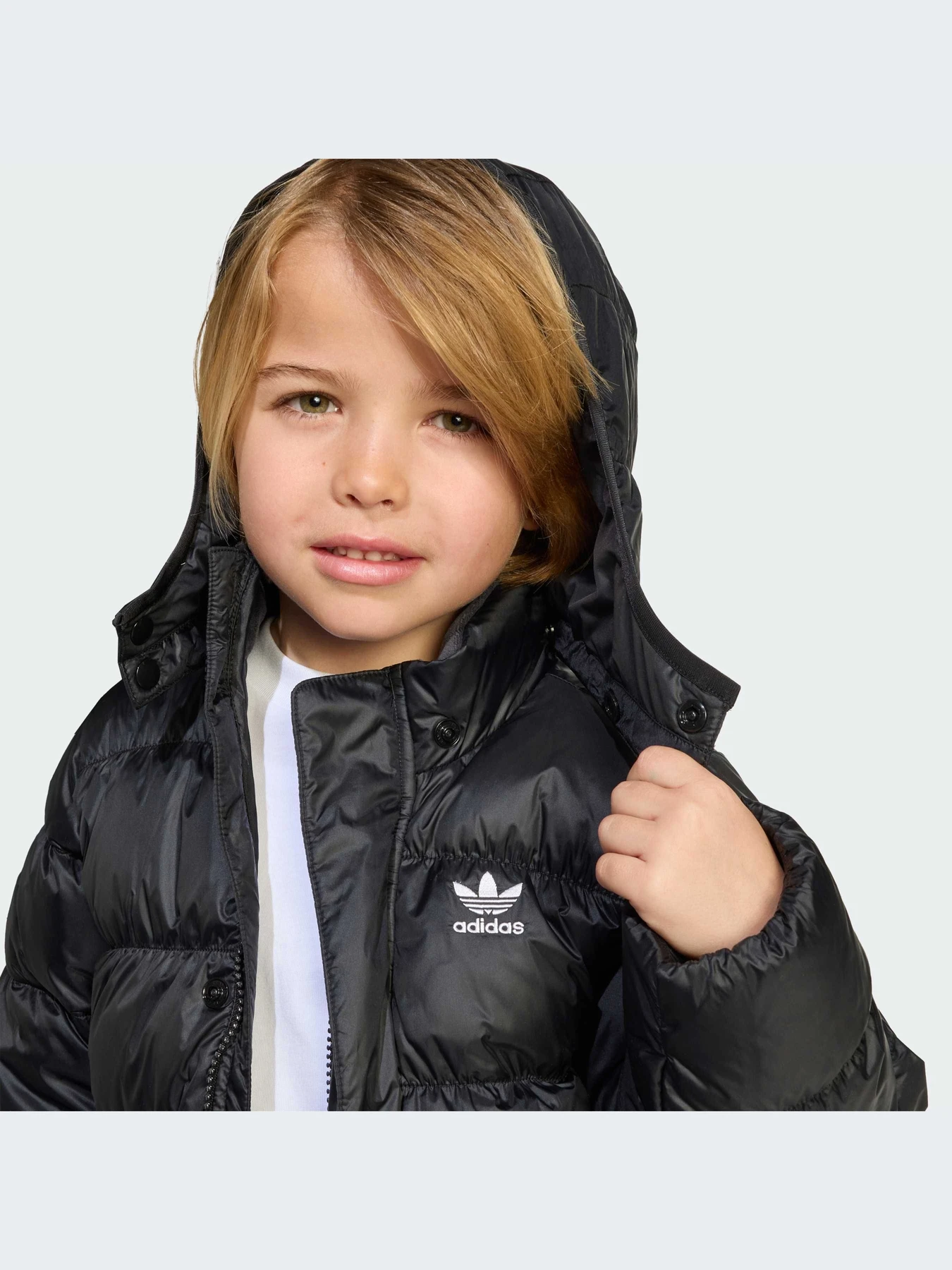Куртки и дубленки Adidas Adicolor модель JX0550-KZ Фото