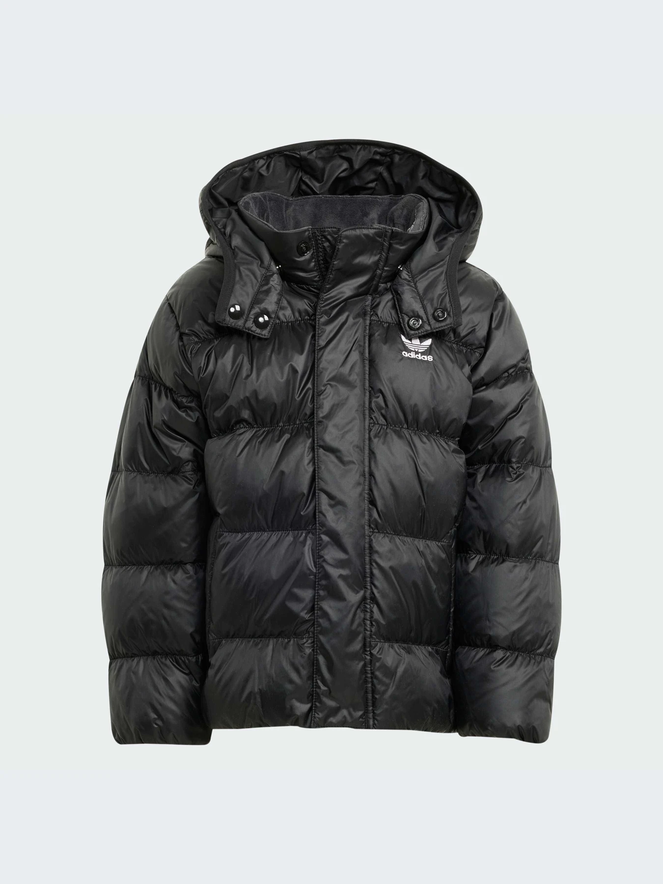Куртки и дубленки Adidas Adicolor модель JX0550-KZ Фото