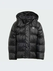 Куртки и дубленки Adidas Adicolor модель JX0550-KZ Фото